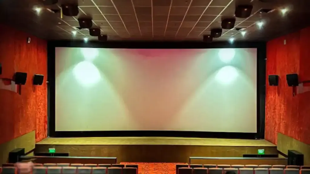 The Vijay Park Multiplex