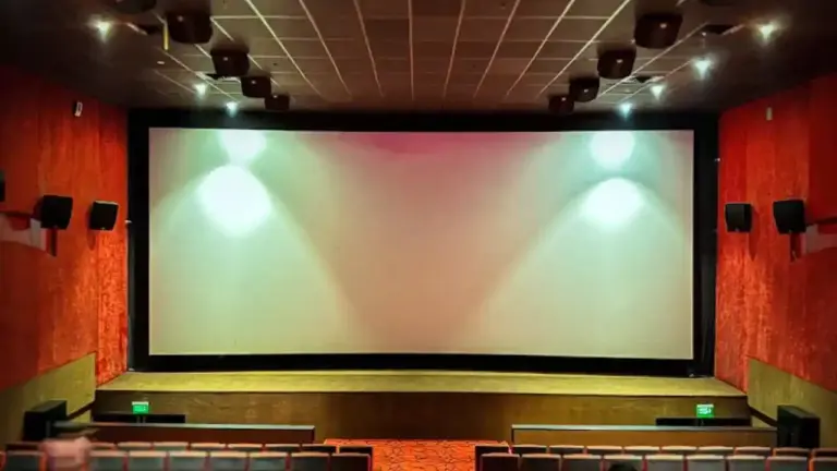The Vijay Park Multiplex