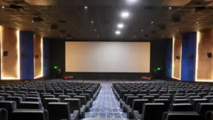 Vishal Cinemaas