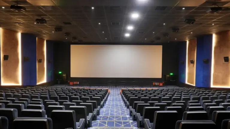 Vishal Cinemaas