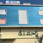 Asian Tirumala Multiplex